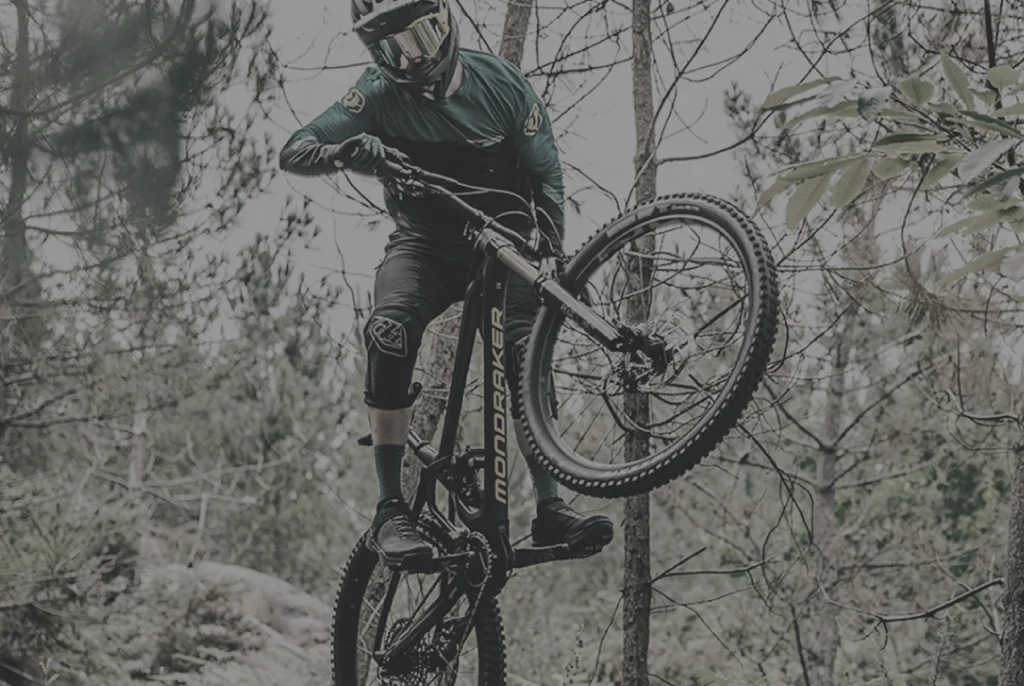 Teambike