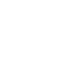 Selección y modificaciones del logotipo final
