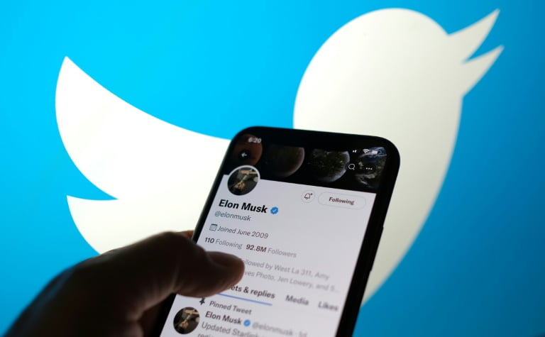 Persona consulta el perfil de Elon Musk en Twitter, otras de las redes sociales horizontales.